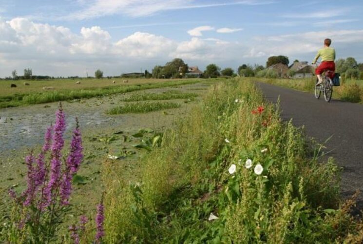 Green Hart of holland boat and bike