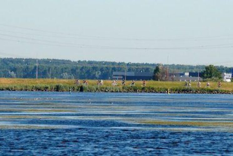 Ijssellake Langs Het Meer