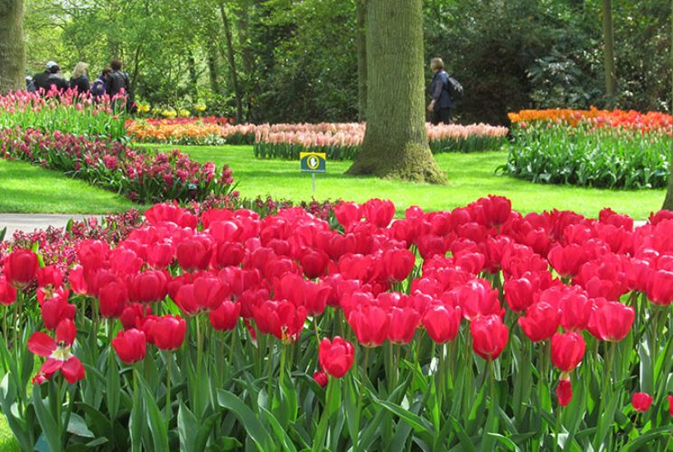 Tulip tour Bike and Barge 2024 ship Anna Antal Dutch Barge Cruises